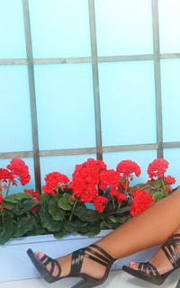 Шлюха АЛЯ 11632